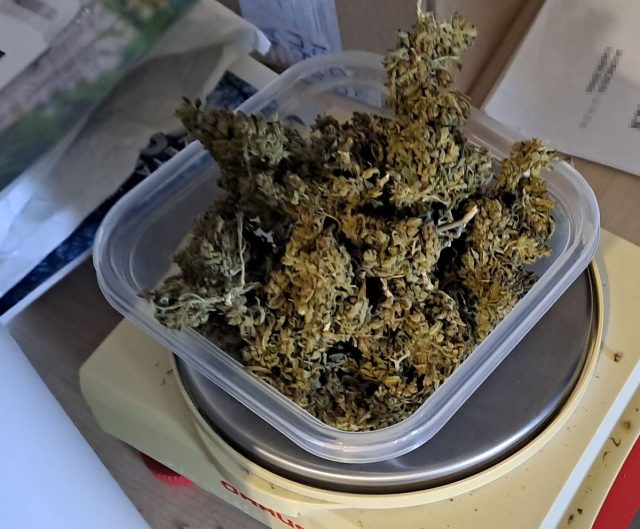 Marihuana w słoikach i puszce. Z nielegalnego towaru można było wykonać ponad 470 działek dilerskich (zdjęcia)