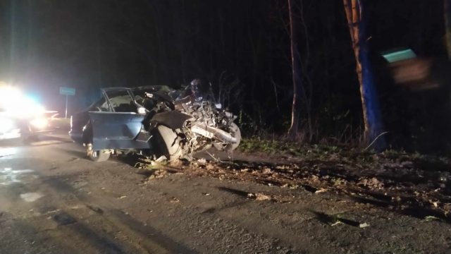 Nocna tragedia na drodze. BMW uderzyło w drzewo, nie żyją dwaj młodzi mężczyźni (zdjęcia)