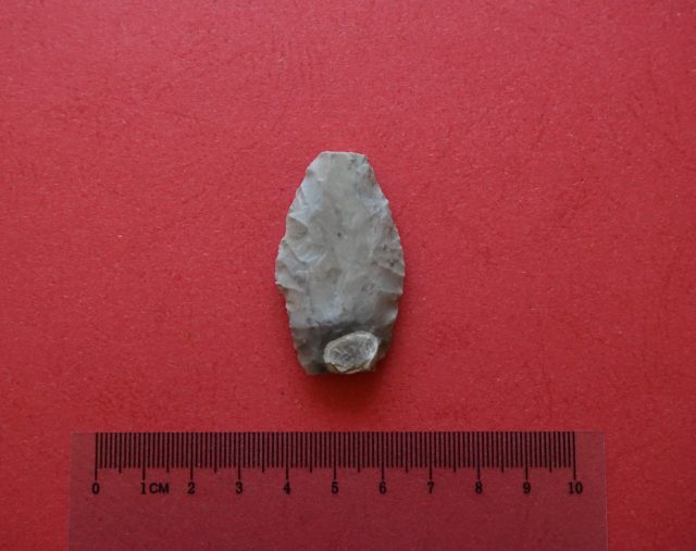 Dwa ciekawe zabytki archeologiczne znaleziono w regionie (zdjęcia)