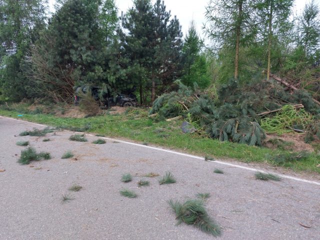 Samochód wypadł z drogi i uderzył w drzewa. Trzy osoby poszkodowane (zdjęcia)