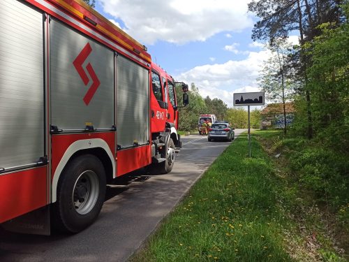 Motocyklista wypadł z drogi i uderzył w drzewo. Zginął na miejscu (zdjęcia)