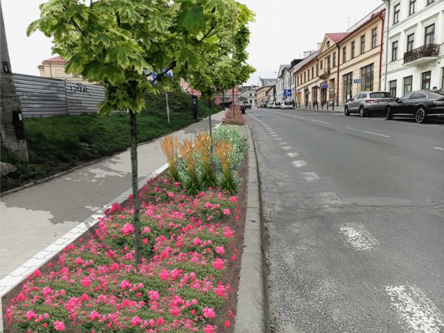 W centrum Lublina pojawią się nowe drzewa i zmiany dla kierowców