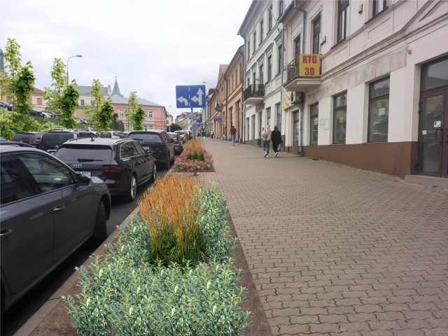 W centrum Lublina pojawią się nowe drzewa i zmiany dla kierowców