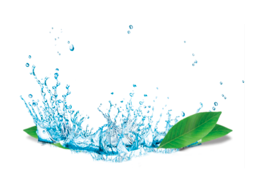 Oszczędność czasu i wody – zalety myjki ciśnieniowej w gospodarstwie domowym