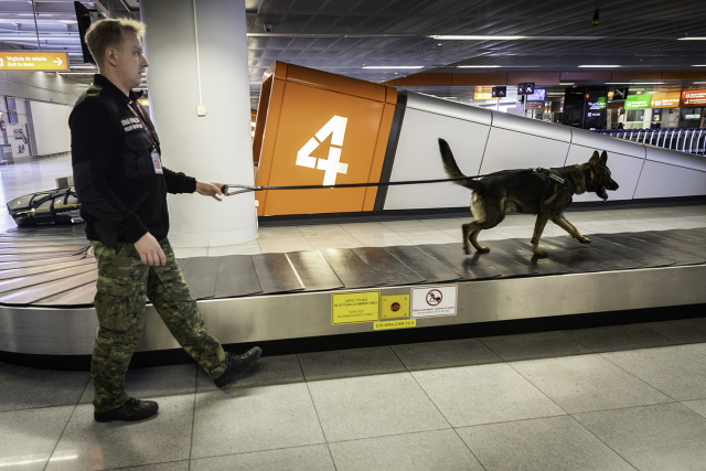 Bezpieczna majówka na lotnisku Chopina w Warszawie (wideo)