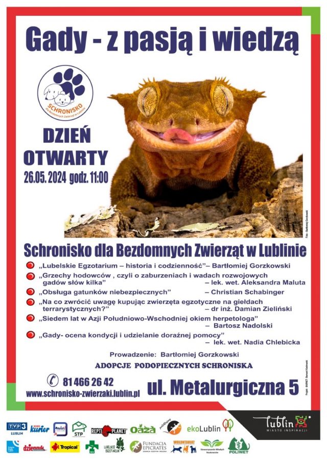 Dzień Otwarty w Schronisku dla Bezdomnych Zwierząt w Lublinie. Będzie można poznać mieszkające tam gady