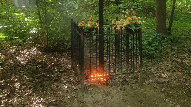 Przy leśnej kapliczce ktoś ustawił znicz, ten pękł i zaczęła się palić ściółka. „Bezmyślność przeraża” (zdjęcia)