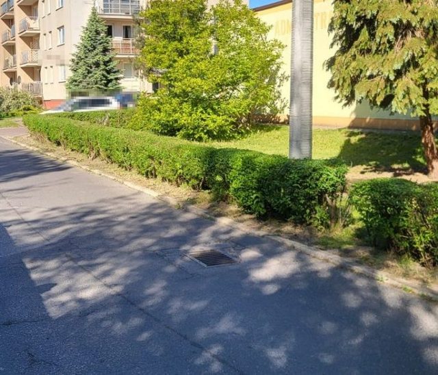 Ukradł znajomemu od kieliszka saszetkę z pieniędzmi. O jego losie zadecyduje sąd (zdjęcia)