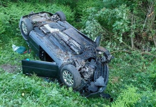 Tragiczny finał zderzenia volvo z łosiem. Nie żyje kierowca (zdjęcia)