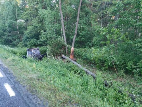 Tragiczny finał zderzenia volvo z łosiem. Nie żyje kierowca (zdjęcia)