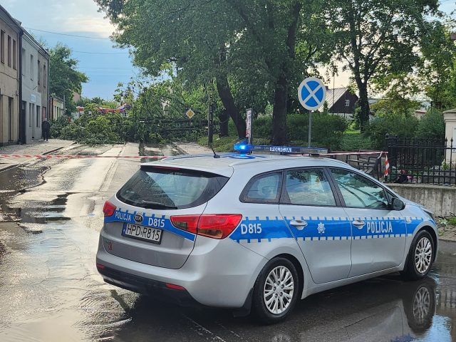 Zachowaj ostrożność na drogach powiatu ryckiego. Trwa usuwanie połamanych drzew po burzy (zdjęcia)