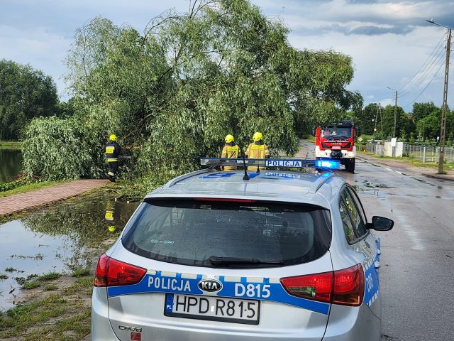 Zachowaj ostrożność na drogach powiatu ryckiego. Trwa usuwanie połamanych drzew po burzy (zdjęcia)