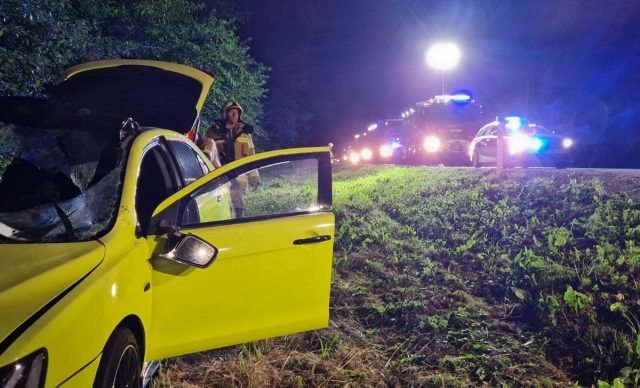 Mitsubishi uderzyło w łosia i wypadło z drogi. Z rozbitego auta uciekł pies (zdjęcia)