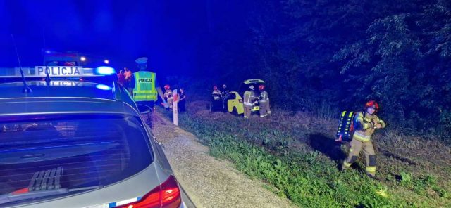 Mitsubishi uderzyło w łosia i wypadło z drogi. Z rozbitego auta uciekł pies (zdjęcia)