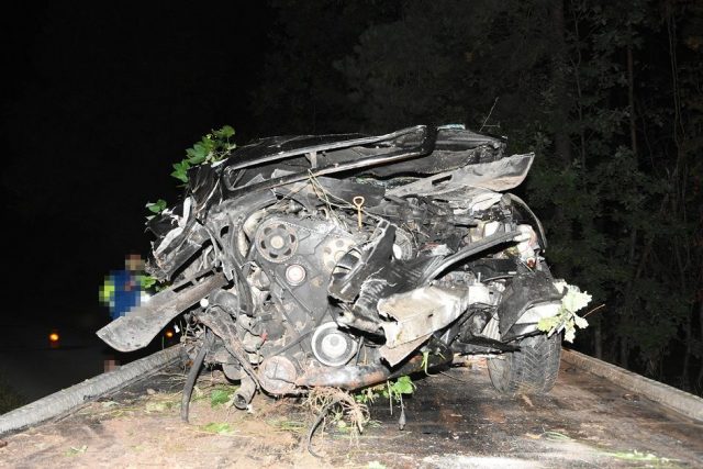 Audi uderzyło w łosia i drzewo. Kierowca trafił do szpitala (zdjęcia)