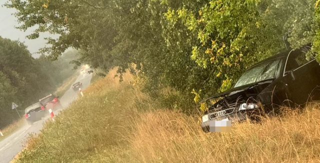 Audi wypadło z drogi i dachowało. Kierujący był pijany (wideo, zdjęcia)