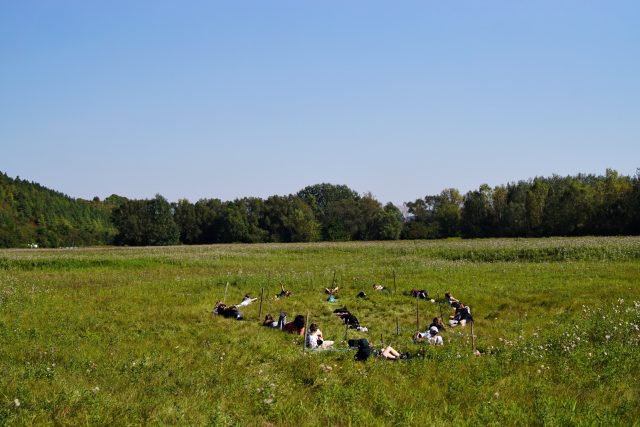 Sztuka i natura na Zamku w Janowcu (zdjęcia)