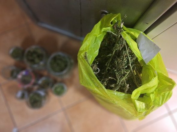42-latek zatrzymany za posiadanie substancji odurzających. Miał 1,5 kilograma suszu z konopi (zdjęcia)