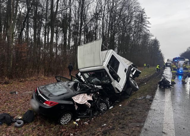 Wypadek na trasie Piaski – Krasnystaw. Utrudnienia w ruchu w Łopienniku Nadrzecznym (zdjęcia)