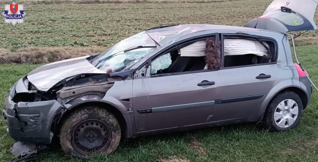 Renault zderzył się z łosiem. Kierowca miał dużo szczęścia (zdjęcia)