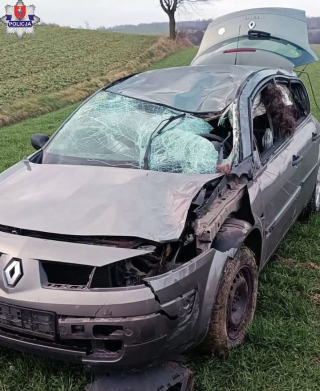 Renault zderzył się z łosiem. Kierowca miał dużo szczęścia (zdjęcia)