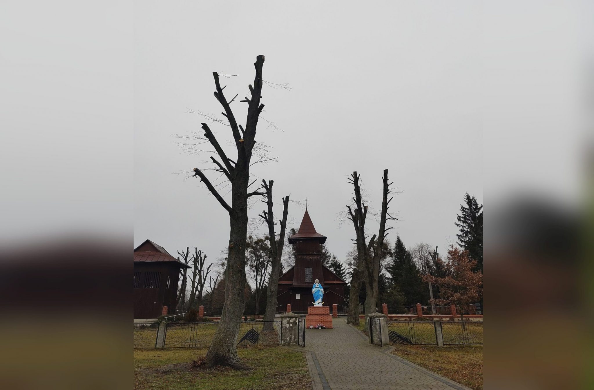 Kary Za Zniszczenie Drzewa 2018 Kilkadziesiąt tysięcy złotych kary dla parafii za zniszczenie drzew