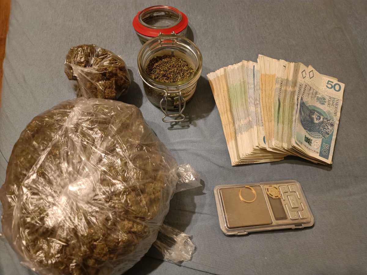 Policjanci zatrzymali poszukiwanego za narkotyki. W jego mieszkaniu zabezpieczono marihuanę