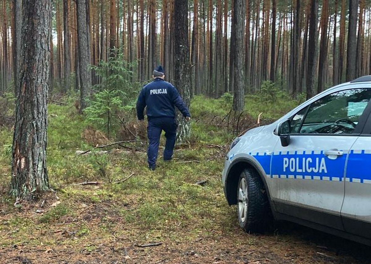 Ludzkie szczątki w lesie. Policjanci zakończyli poszukiwania 73-latki
