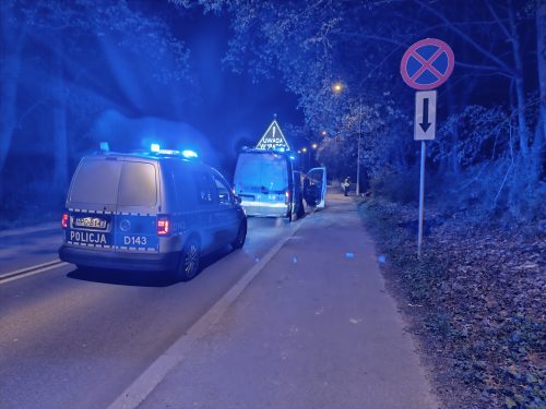 Zderzenie motocyklisty z łosiem. Nastolatek w szpitalu, po zwierzęciu została tylko sierść (zdjęcia)