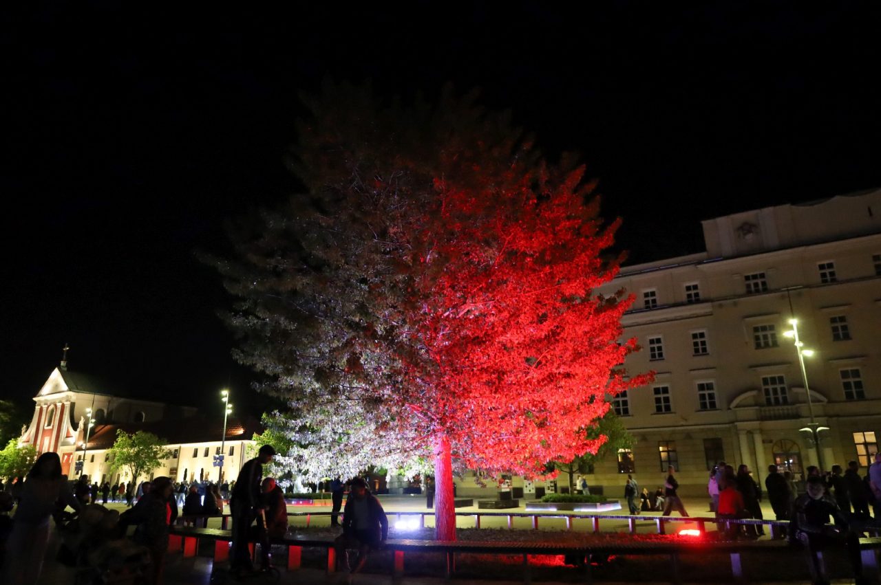 Lublin biało-czerwony. Miejskie iluminacje w barwach narodowych (zdjęcia)