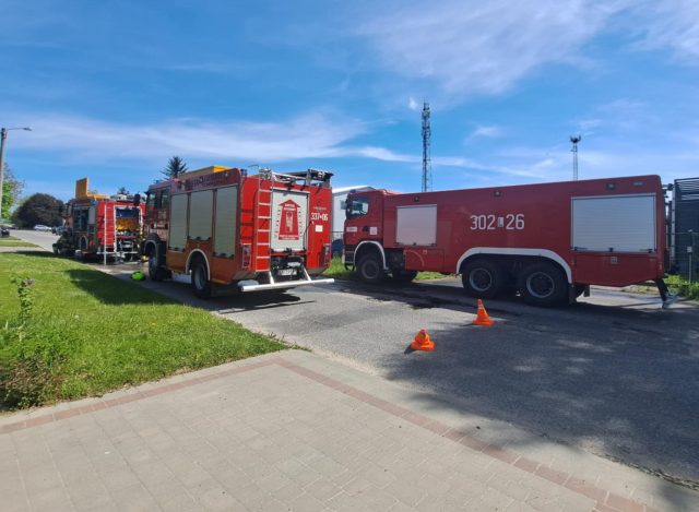 Tuje stanęły w płomieniach. Ogień zaczął rozprzestrzeniać się na pobliski budynek (zdjęcia)