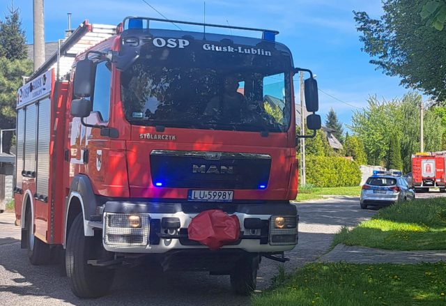 Tuje stanęły w płomieniach. Ogień zaczął rozprzestrzeniać się na pobliski budynek (zdjęcia)