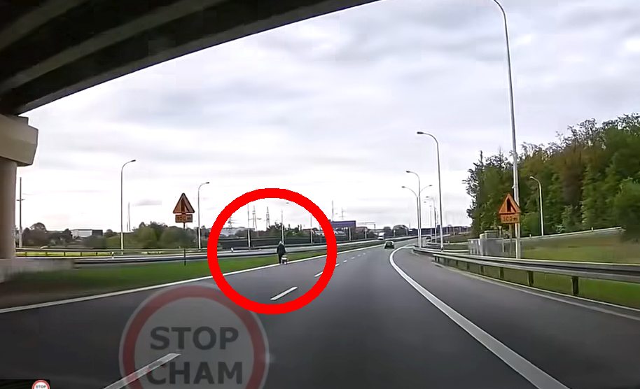 Starsza kobieta szła lewym pasem drogi ekspresowej. Ciągnęła za sobą torbę na kółkach (wideo)
