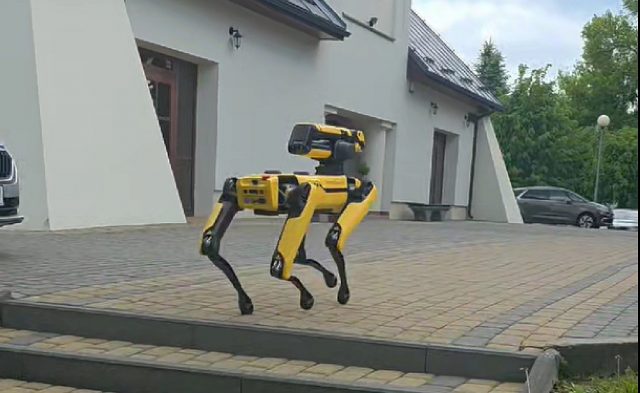 Jest żółto-czarny, ma cztery łapy, ale nie szczeka. Pies – robot zamieszkał na Politechnice Lubelskiej (foto)