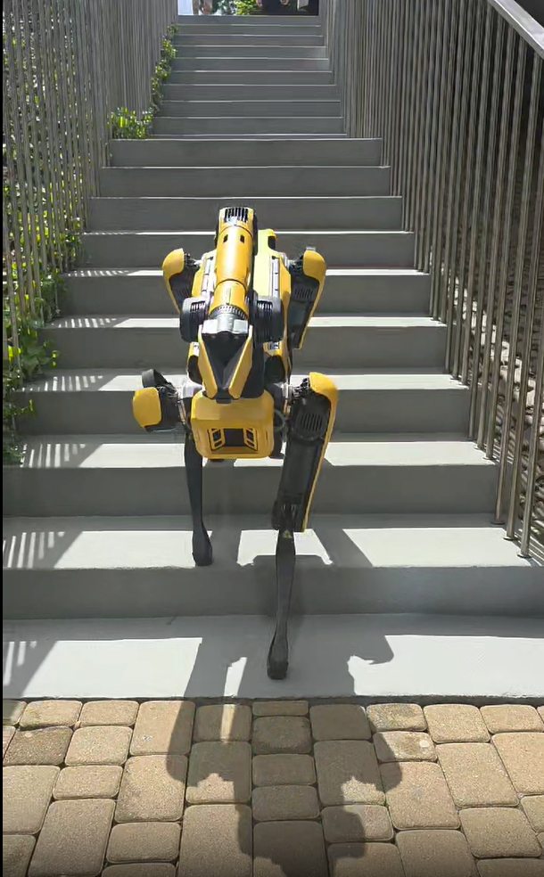 Jest żółto-czarny, ma cztery łapy, ale nie szczeka. Pies – robot zamieszkał na Politechnice Lubelskiej (foto)