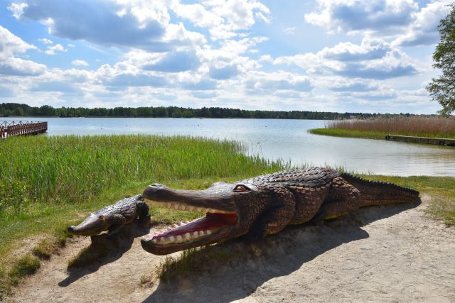 Krokodyl z Okuninki odzyskał dawny blask. Znów ma stanowić atrakcję dla wypoczywających nad Jeziorem Białym (zdjęcia)