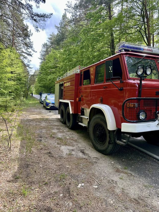 Mercedes wypadł z drogi i dachował w lesie. Auto po uderzeniu w drzewa rozpadło się na części (zdjęcia)