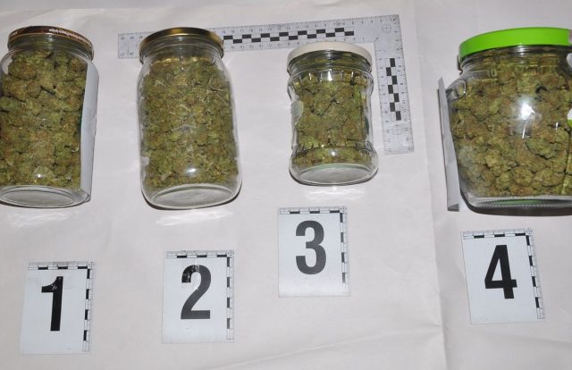 Areszt dla 22-latka z Puław. Policja zabezpieczyła marihuanę i gotówkę (zdjęcia)