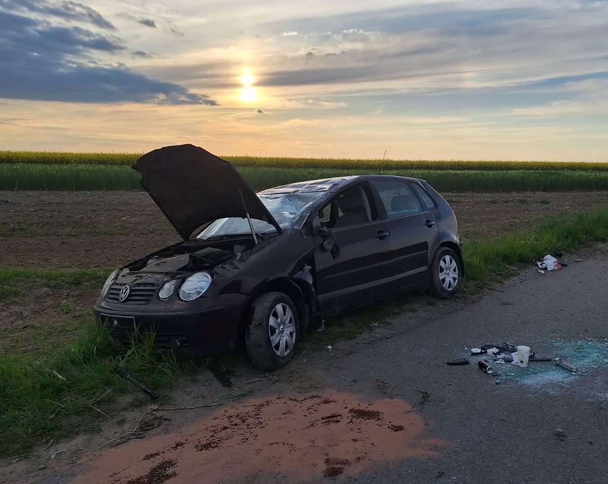 Dachowała volkswagenem z powodu… zająca. Prawo jazdy posiada od miesiąca (zdjęcia)