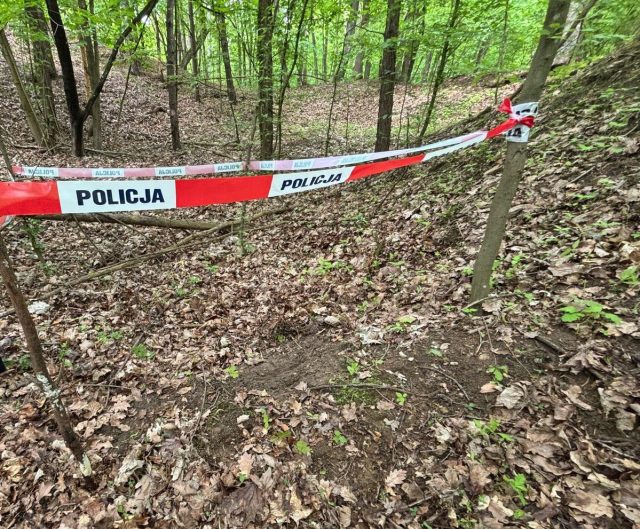 Niebezpieczne znalezisko w lesie w Dęblinie. Saperzy zneutralizowali granaty moździerzowe (zdjęcia)