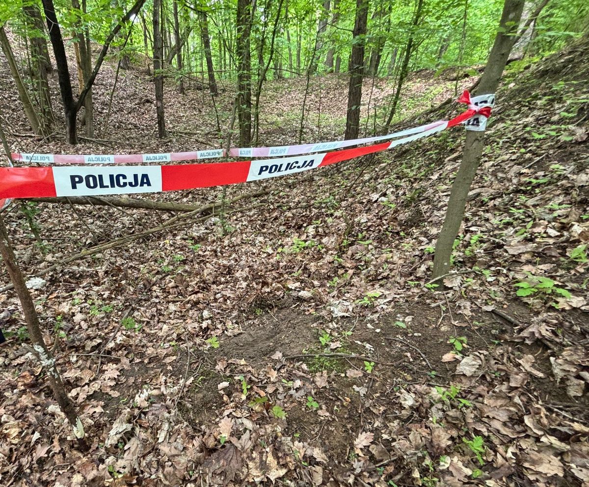 Niebezpieczne znalezisko w lesie w Dęblinie. Saperzy zneutralizowali granaty moździerzowe (zdjęcia)
