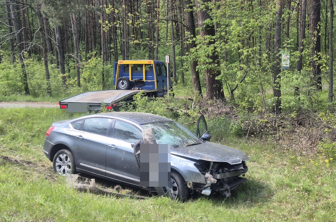 Kierowca uniknął kolizji z sarną, ale uderzył w betonowy przepust (zdjęcia)
