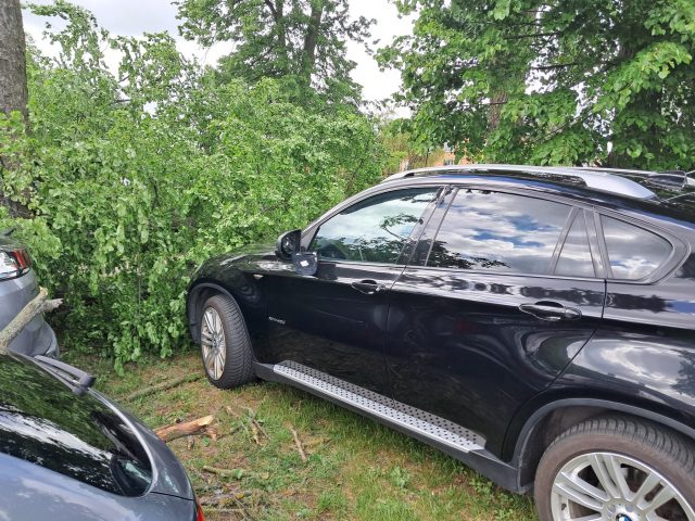 Silny wiatr powalił drzewo na samochody. Uszkodzonych zostało osiem pojazdów (zdjęcia)