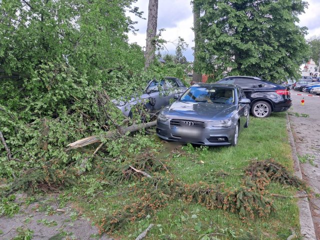 Silny wiatr powalił drzewo na samochody. Uszkodzonych zostało osiem pojazdów (zdjęcia)