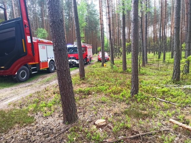 Pożar lasu w pobliżu Opola Lubelskiego. 11 zastępów straży pożarnej i helikopter gaśniczy w akcji (zdjęcia)