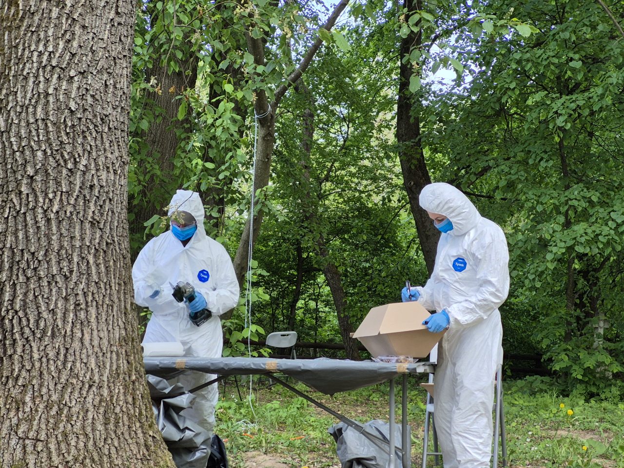 Ekshumacje na Ukrainie. Znaleziono fragmenty szkieletów co najmniej 42 osób – kobiet, mężczyzn i dzieci (zdjęcia)