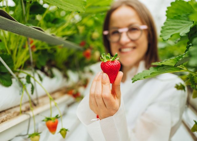 Pochodzenie ma znaczenie – kupujmy polskie truskawki