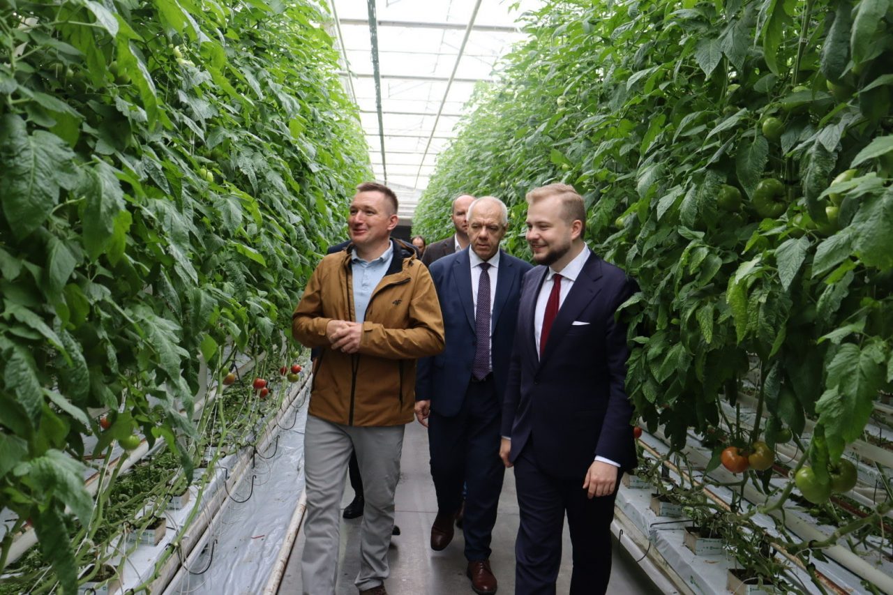 Moskal i Sasin w Lubelskim wśród pomidorów i mleka. „Wschód nie może być znów dyskryminowany” (zdjęcia)