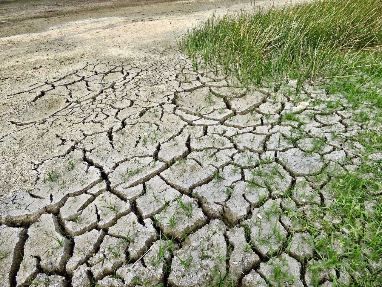 Hydrolodzy ostrzegają: Susza hydrologiczna w zlewni Bugu