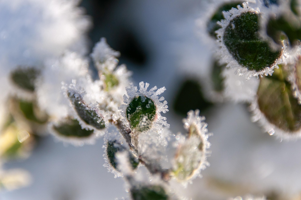 Mroźna noc w wielu regionach kraju. Przy gruncie temperatura spadła nawet do -10,7°C